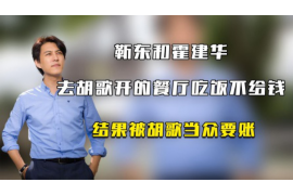 金凤清债公司：专业债务处理，为您解决财务难题