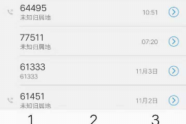 新网银行催收冒充调解中心：揭秘网络借贷纠纷中的欺诈手段