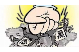 上海律正催收对象：解析专业法律催收服务
