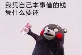 银川专业讨债公司：高效解决债务难题的利器