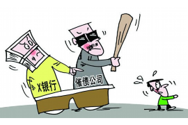 新化清数公司哪家好？揭秘新化地区数据服务佼佼者