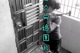 催收打电话打到社区：如何应对扰民现象