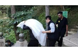 讨债不成怎么追回：全方位解析债务回收策略