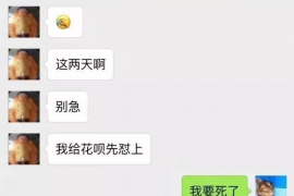 唐浩为武魂殿讨债：一场惊心动魄的债务追讨之旅