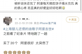 吉林船营区讨债律师咨询：专业法律支持，助您无忧追债
