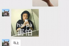 供应商年轻女子讨债：维权之路的挑战与启示