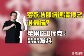 打官司讨债周期长：揭秘讨债难题与应对策略