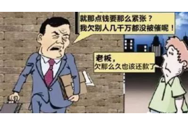 多个原告讨债诉状怎么写？——实用指南与案例分析