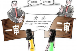 赫章追债公司排名：揭秘贵州地区专业追债机构