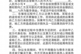 陈江河两公婆讨债：债务纠纷中的法律智慧