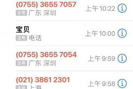 青岛鼎盛宝信催收：专业高效，守护您的权益