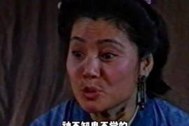 镇原催账公司收费标准：全面解析与案例分析