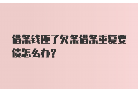金川催收公司联系方式：专业催收服务，助您解决债务难题