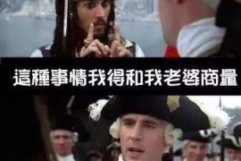 非法讨债获刑标准——揭秘法律红线与案例分析