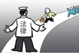 山东青岛平度市讨债律师：专业法律服务助您追回欠款