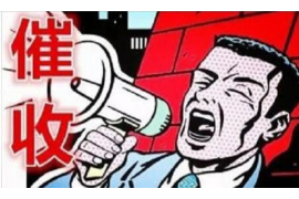 催收公司催收计划：高效执行的策略解析