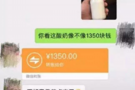 催收投诉电话有哪些？如何正确应对