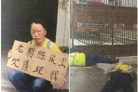 恶意讨债怎么判刑：法律界定与案例分析
