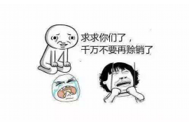 云逸借催收流程：高效、合规的债务管理之道