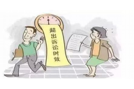 上海嘉定区讨债公司哪家好？揭秘优质讨债服务选择指南